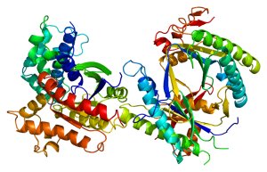 Protein_ADCY5_PDB_1azs