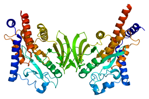 Protein_PTPN22_PDB_2p6x