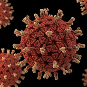 Vaccinazione contro il Rotavirus per prevenire il diabete di tipo 1?