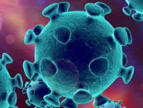 COVID: gli anticorpi dopo infezione rimangono a lungo e sono efficienti